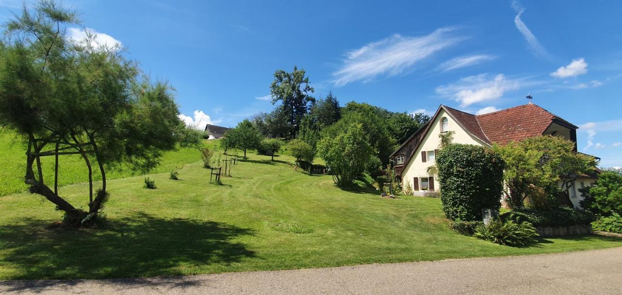 Paradies 2 Castellberg-Jakobsweg Lejlighed Döttingen Eksteriør billede