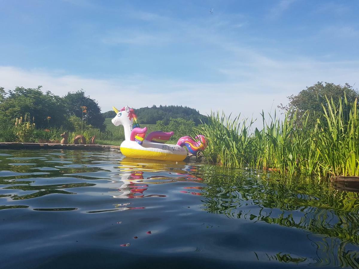 Paradies 2 Castellberg-Jakobsweg Döttingen Eksteriør billede